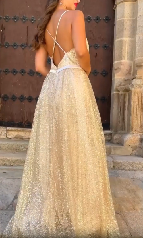 Glittering Lace Deep V Gown