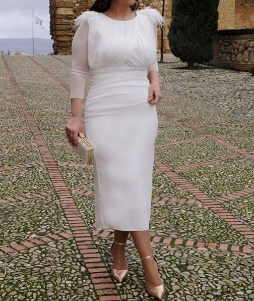 [Copy]Dusty Pink Midi Dress with Sheer Mesh Sleeves & Feather Detail