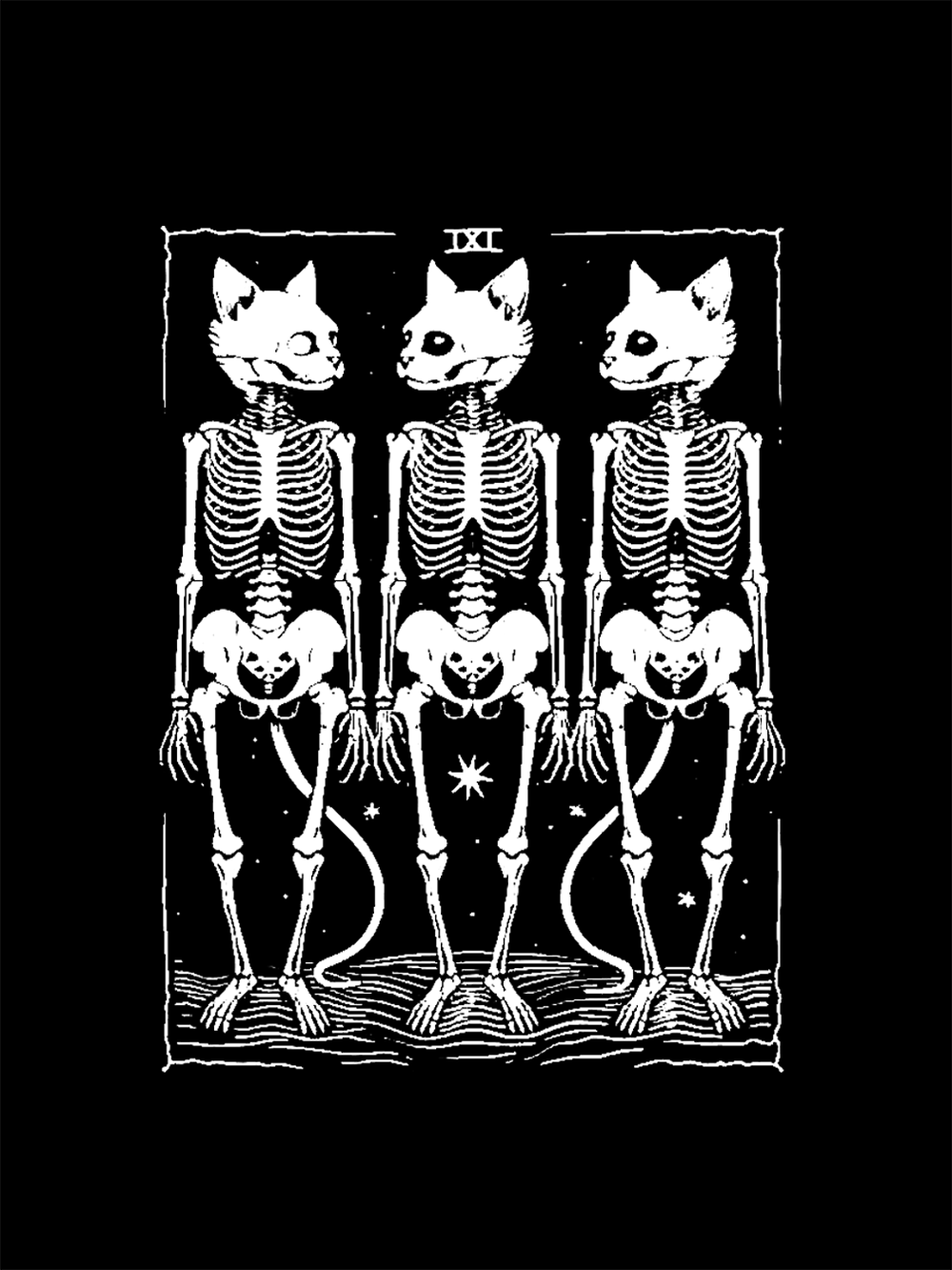Feline Skeleton Trio Washed Tshirt