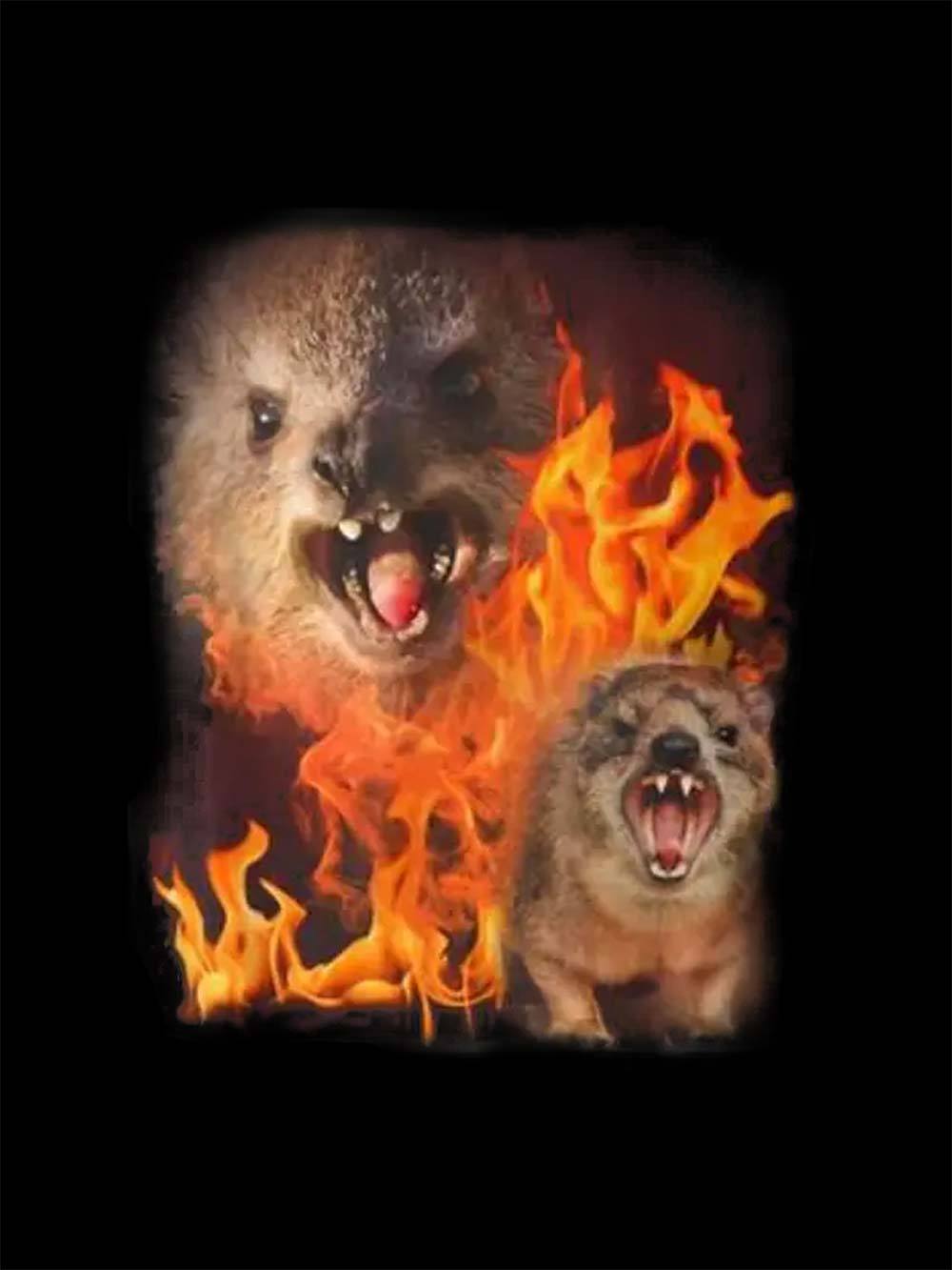 Fury in Flames Washed Tshirt