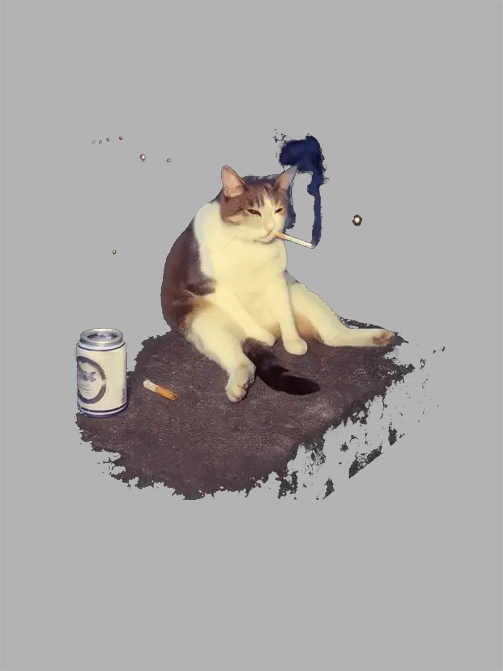 Chill Cat Vibes Washed Tshirt Washed Tshirt