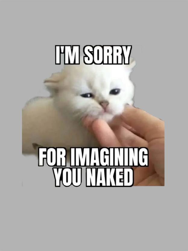 I'm Sorry for Imagining You Naked Washed Tshirt