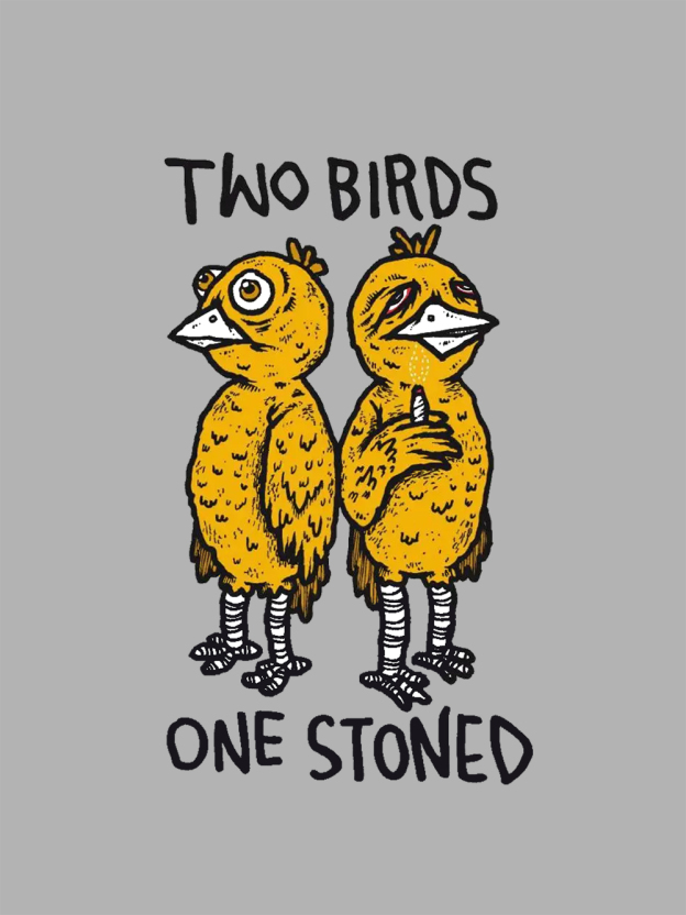 Two Birds One Stoned Washed Tshirt