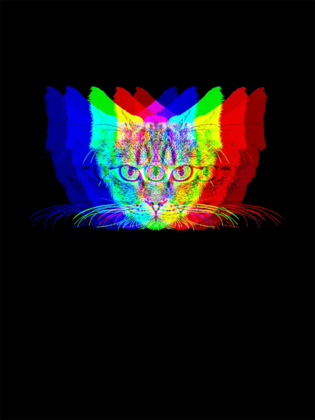 Trippy Cat Vision Washed Tshirt