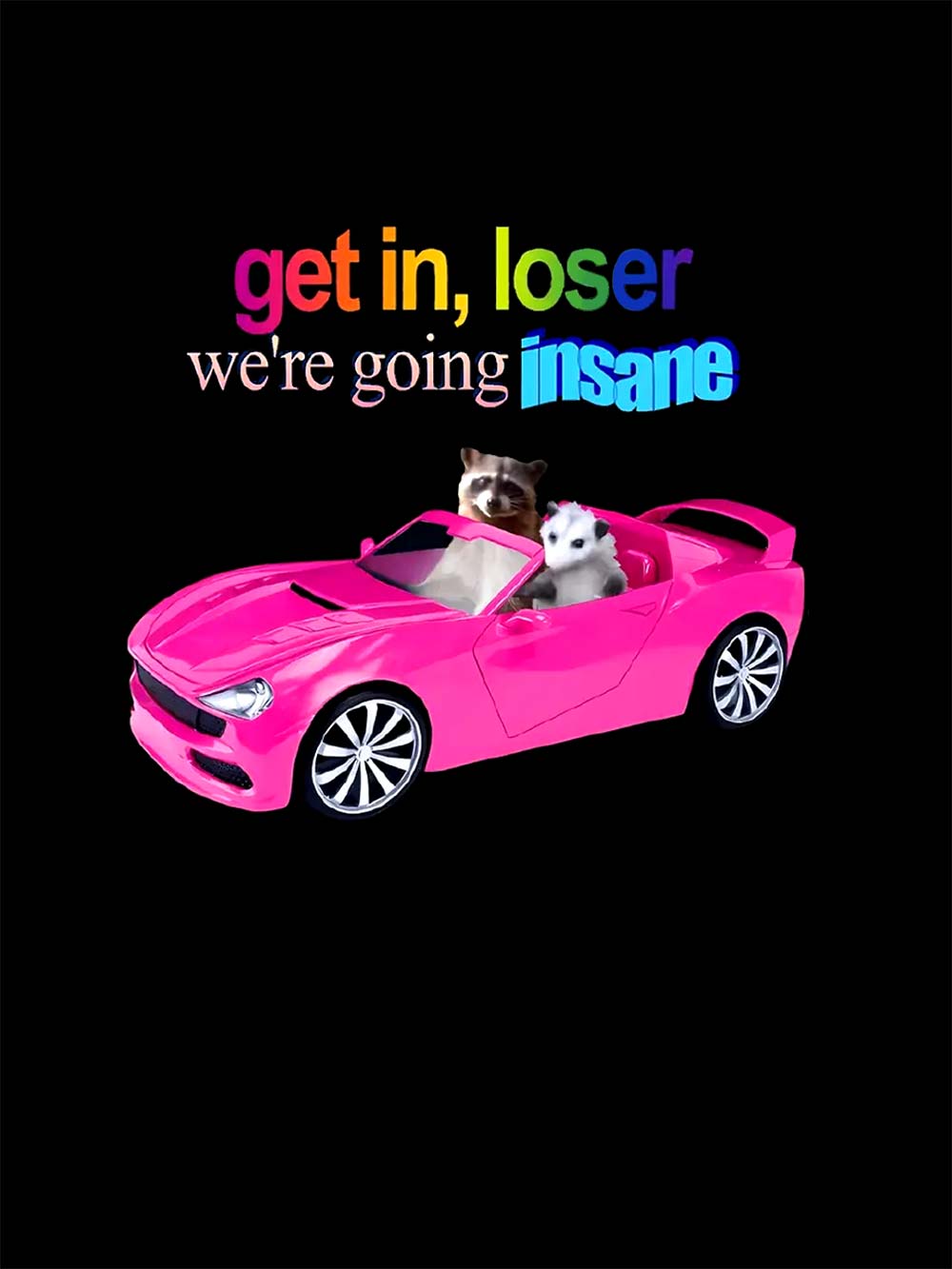 Get in, Loser Washed Tshirt