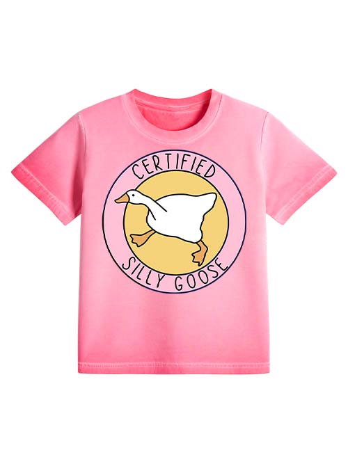 Certified Silly Goose Baby Tee