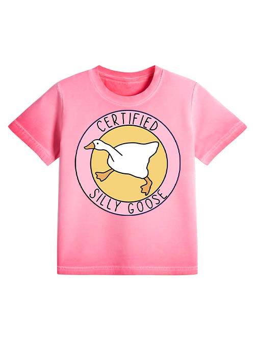 Certified Silly Goose Baby Tee