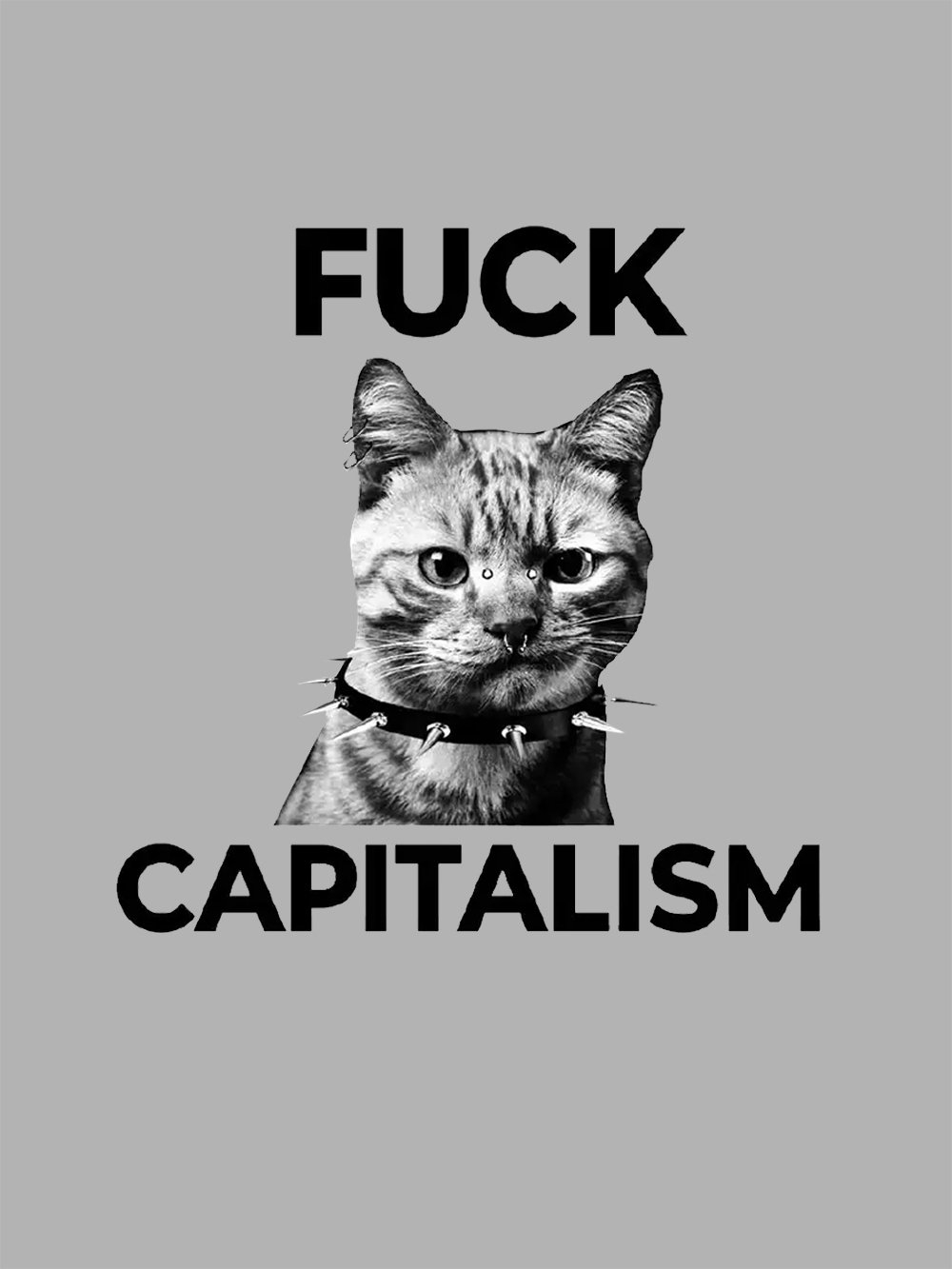 Rebel Cat Washed Tshirt