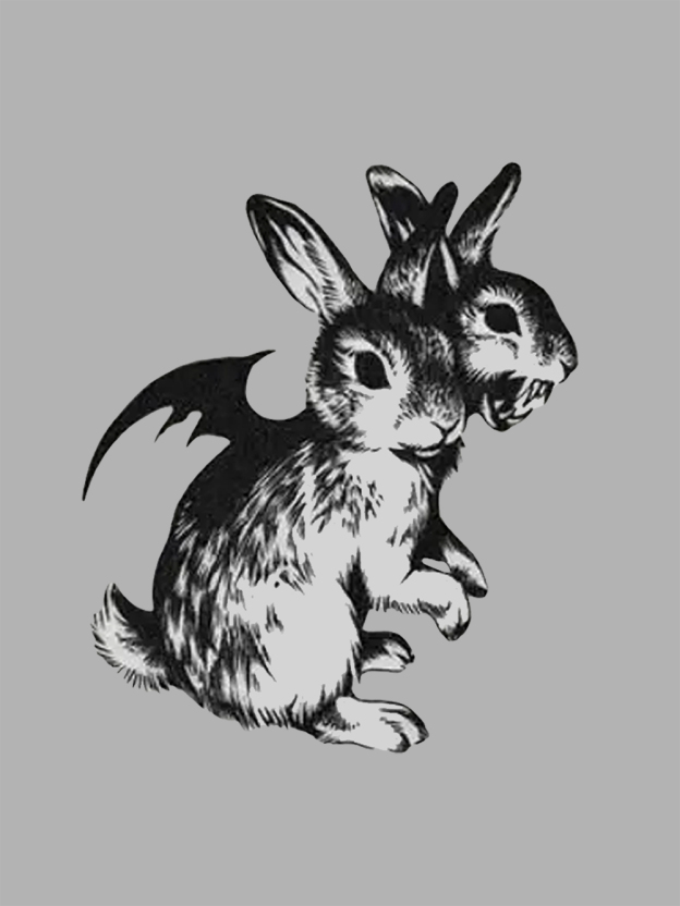 Duality of Bunnies Washed Tshirt