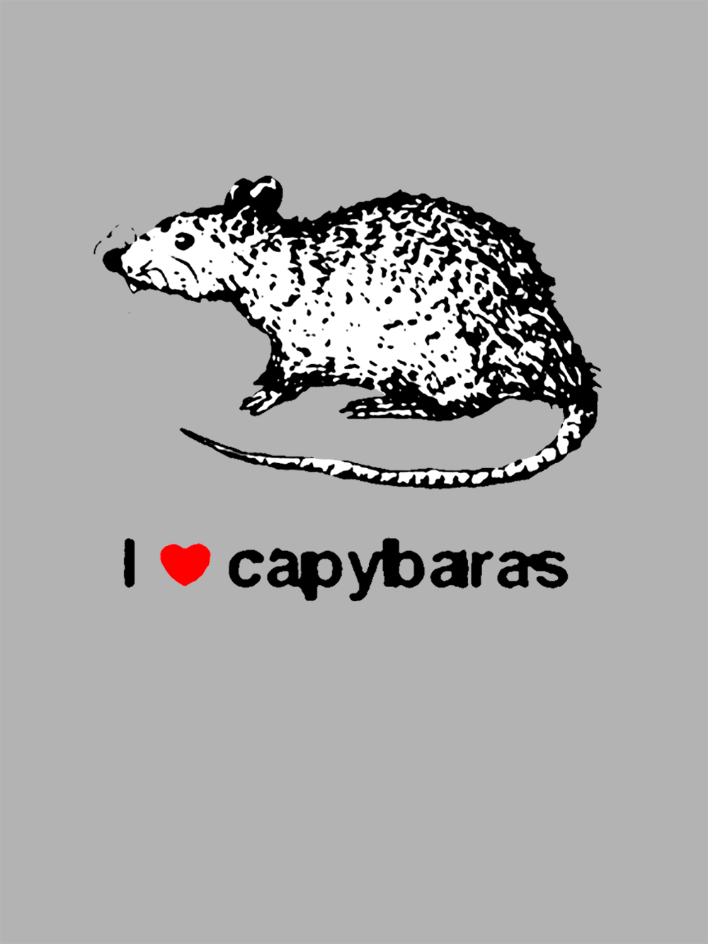 I Love Capybaras Washed Tshirt