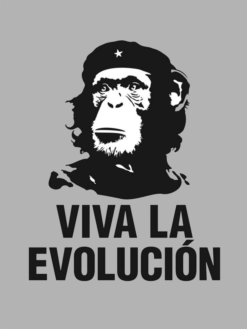 Viva La Evolucion Washed Tshirt