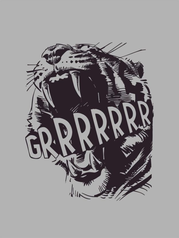 GRRRRRR Washed Tshirt