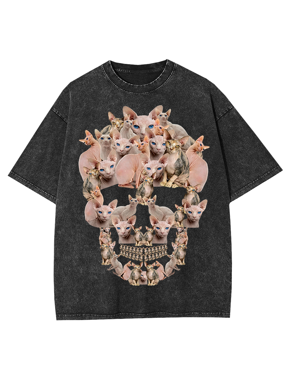 Feline Skull Society Washed Tshirt