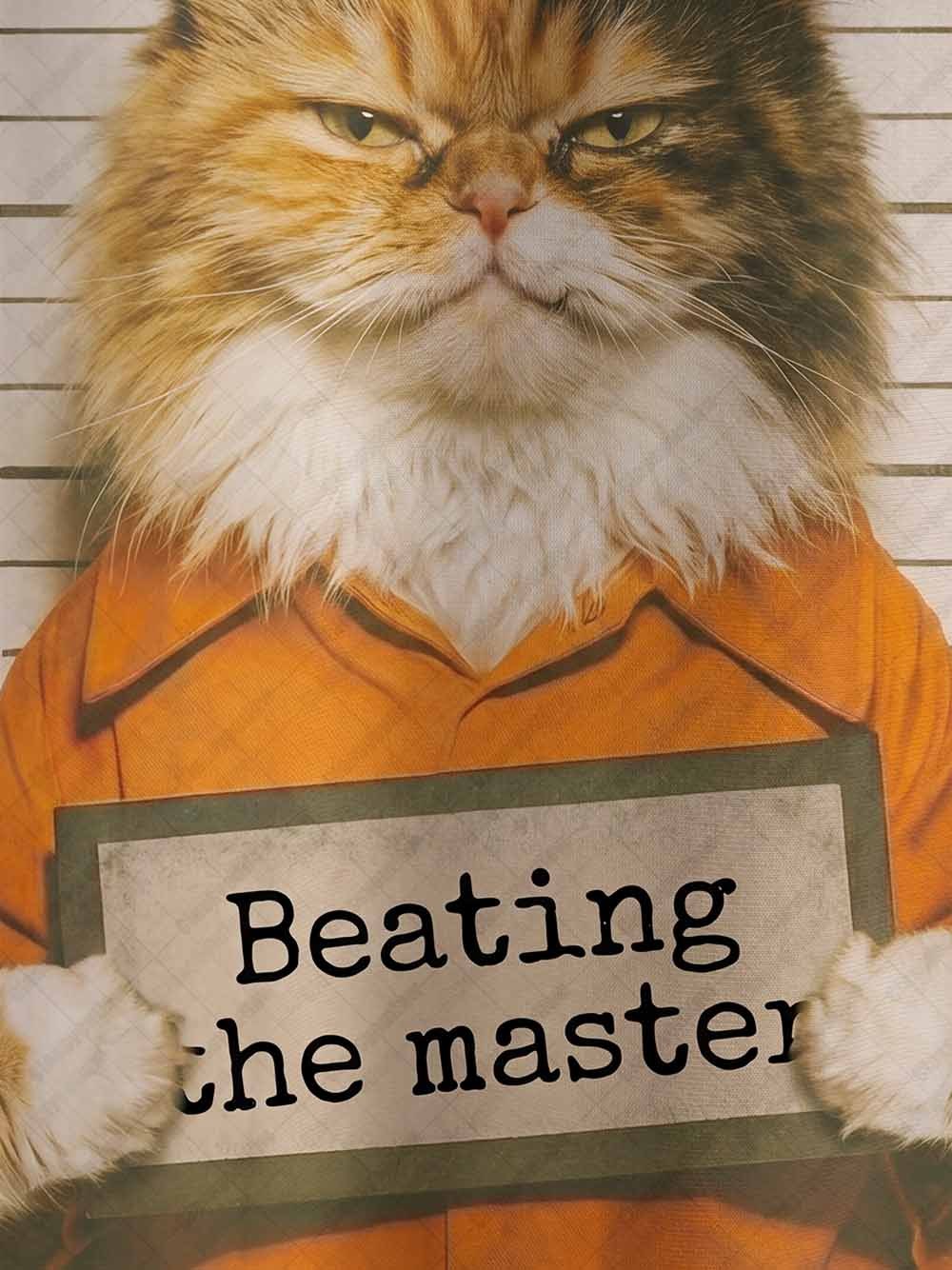 Beating the Master Eco Oversized Graphic Tees