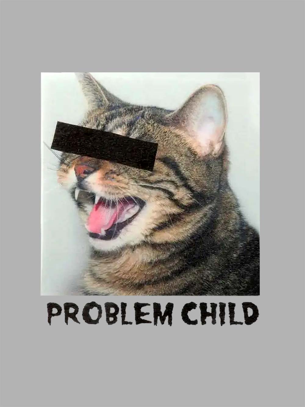 Problem Child Washed Tshirt