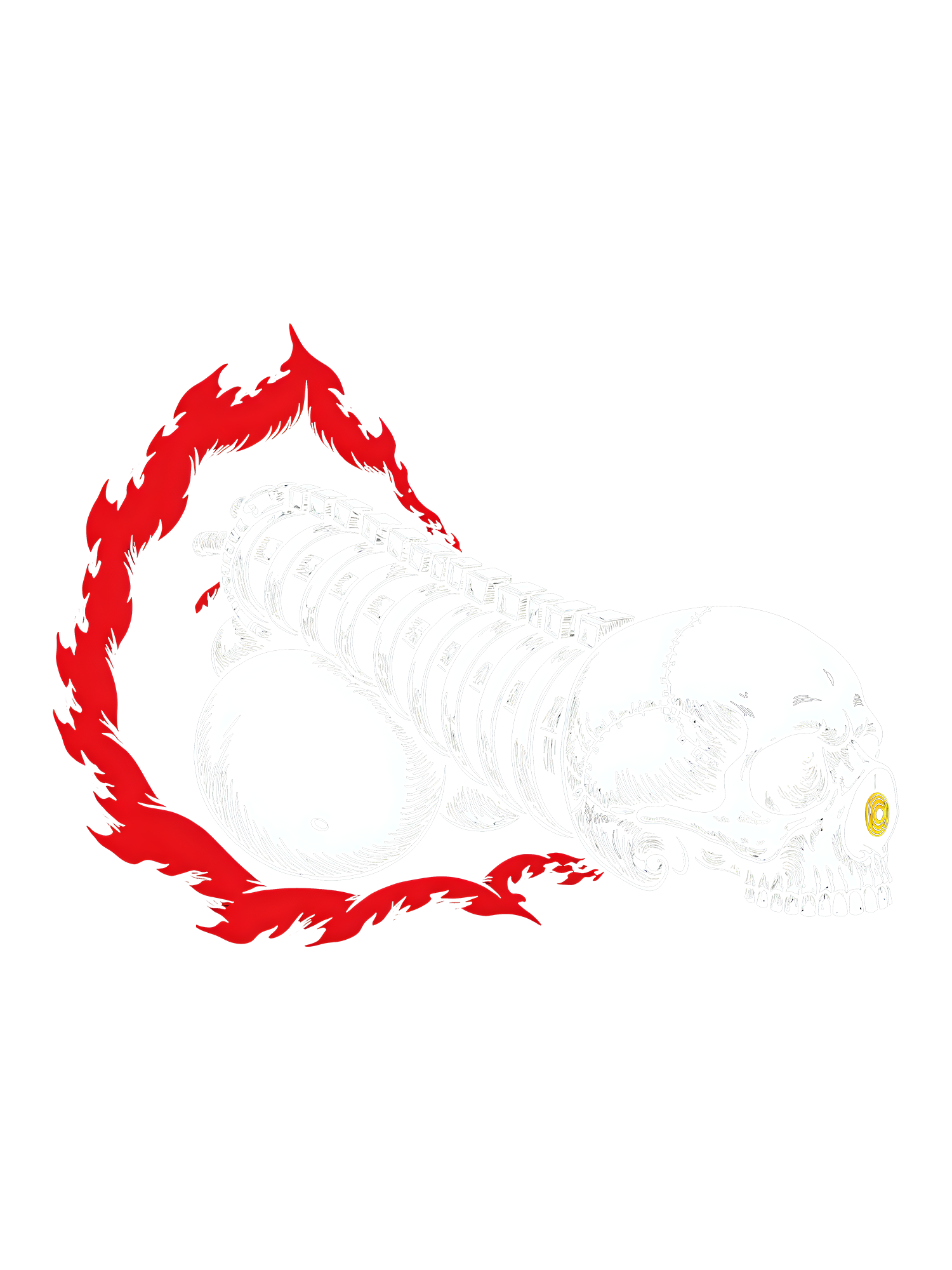 Born from ashes Washed Tshirt