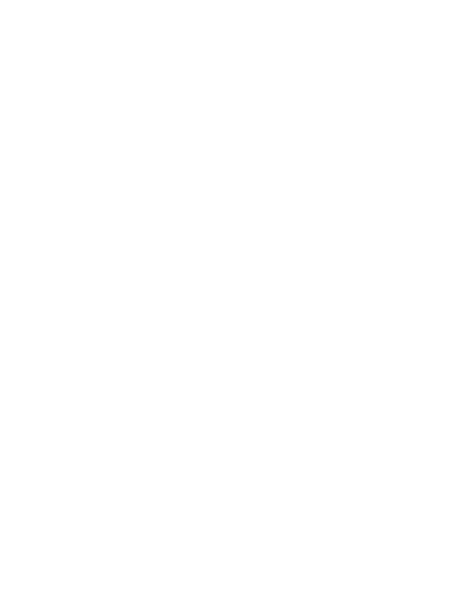 MYSTIC CAT SKULL ILLUSION WASHED TSHIRT