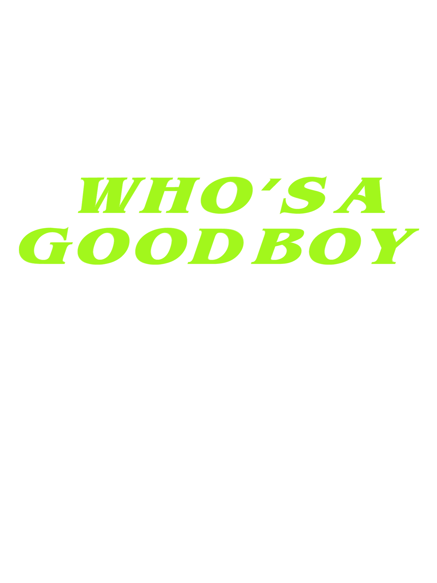 WHO’S A GOOD BOY AAA WASHED TSHIRT