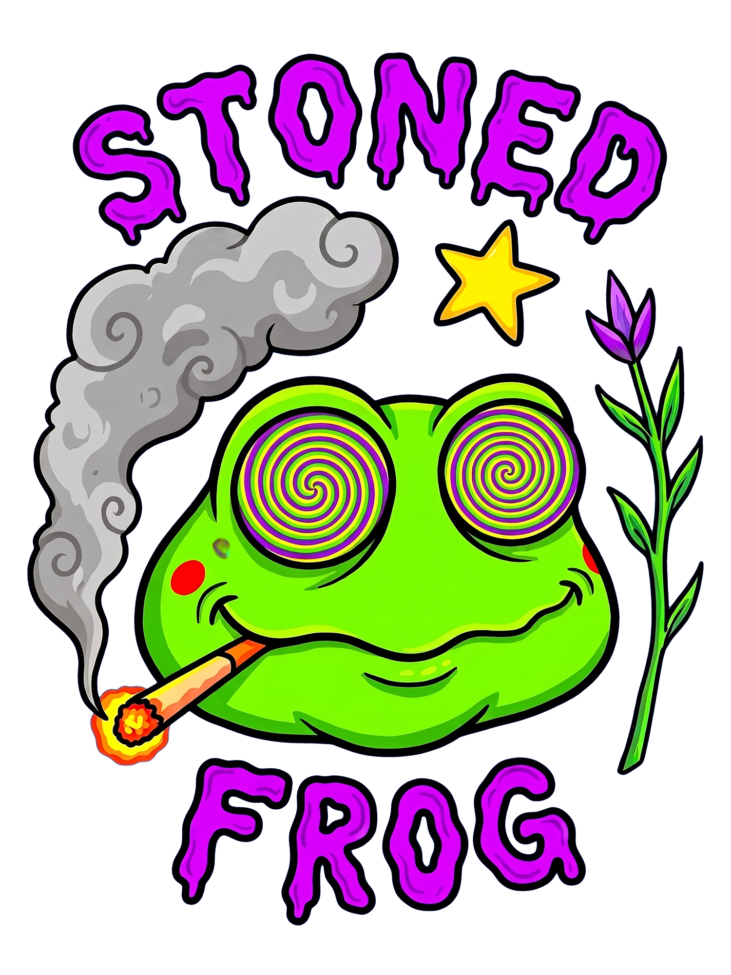 STONED FROG AAA WASHED TSHIRT