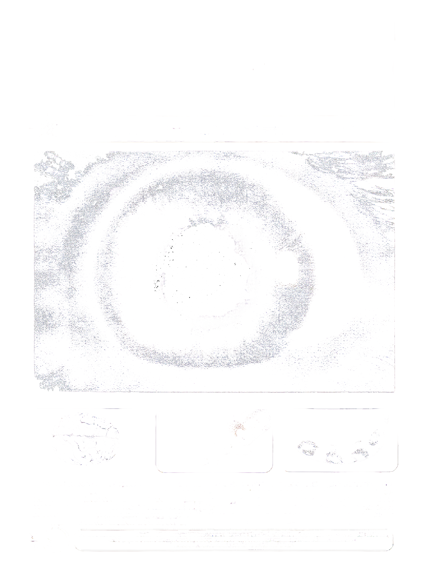 DOPAMINE RUSH Washed Tank Top