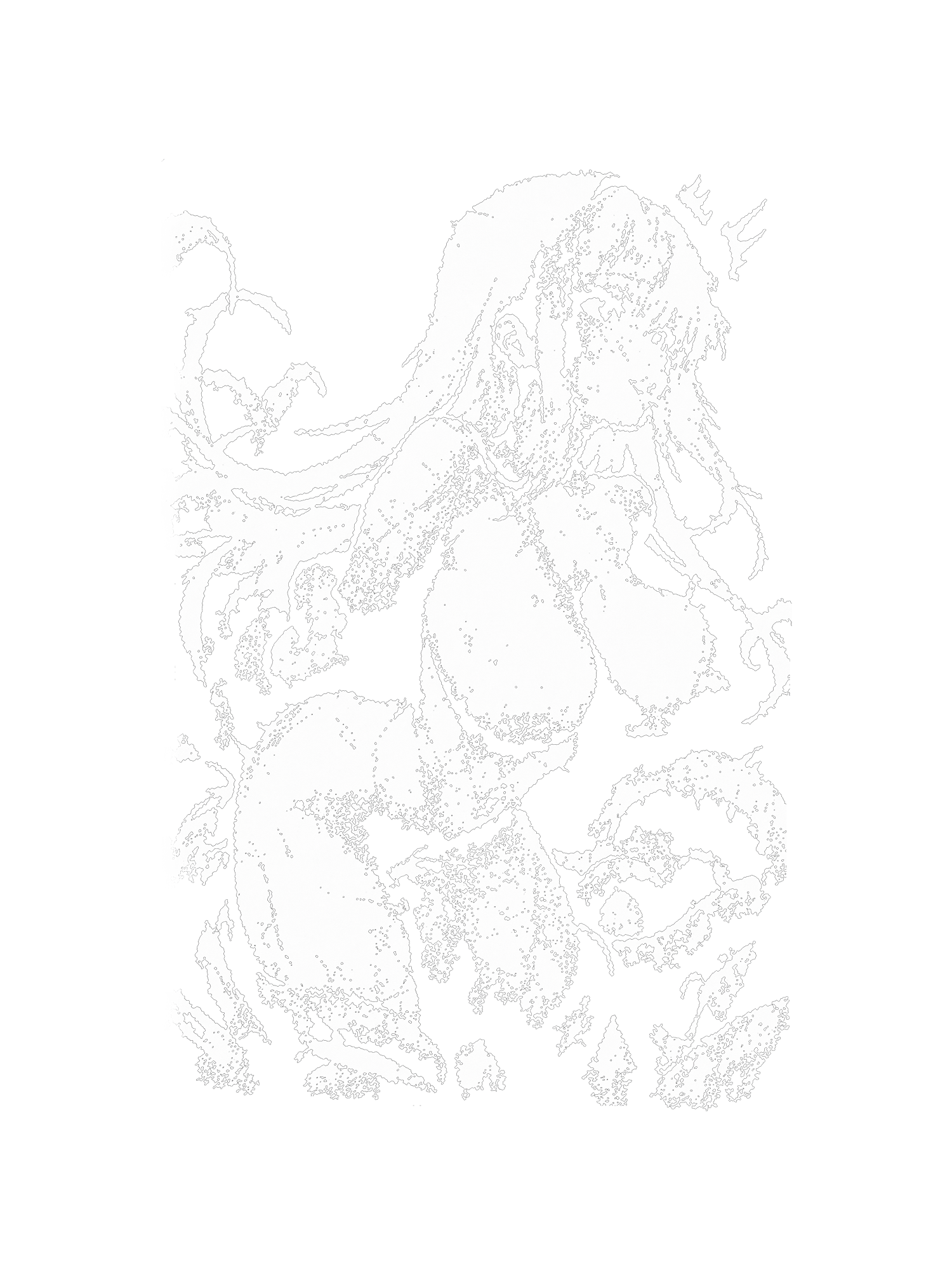 DARK NYMPH AAA WASHED TSHIRT