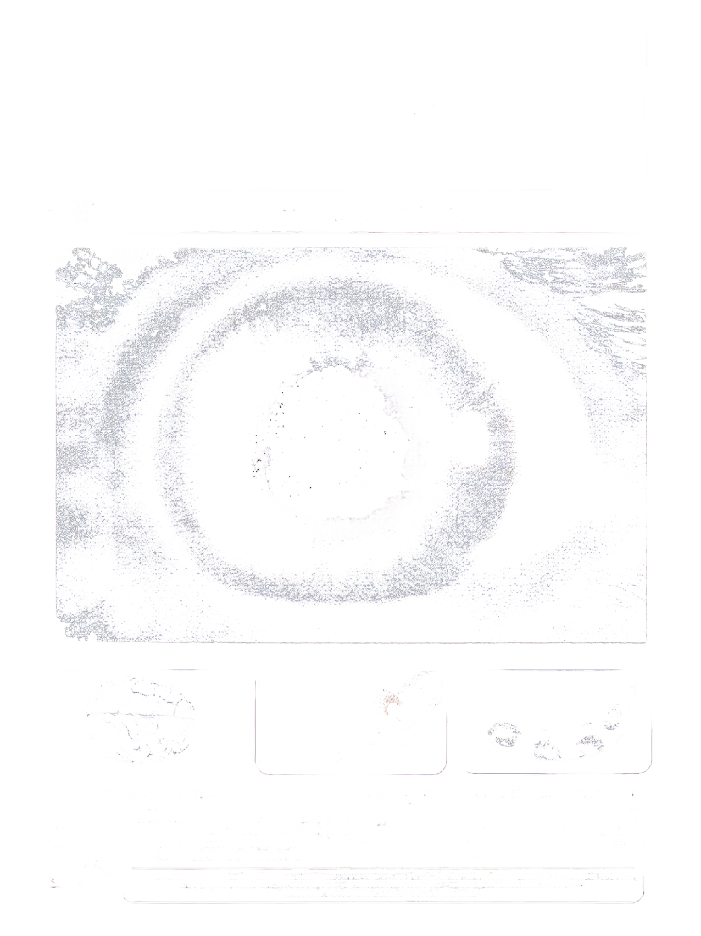 DOPAMINE RUSH Washed Tank Top