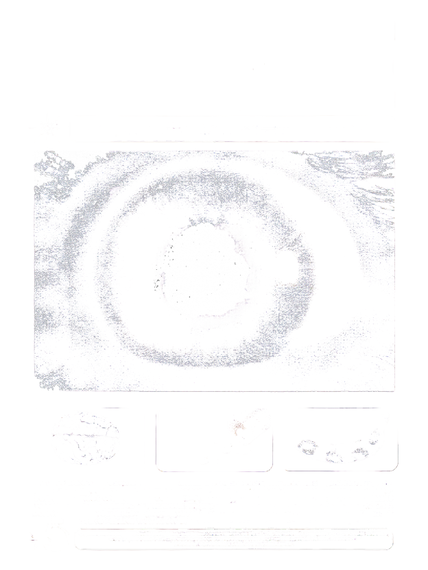 DOPAMINE RUSH Washed Tank Top