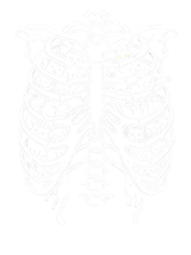 [Copy]AAA Washed Tshirt