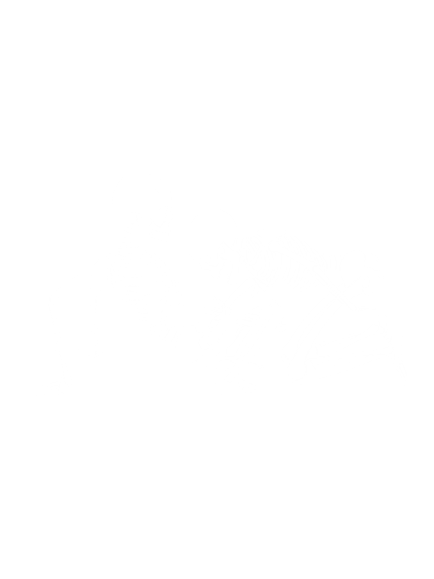 Bone Play Retro Grunge Skeleton Washed Tshirt