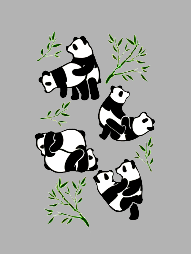 Playful Pandas and Bamboo Washed Tshirt