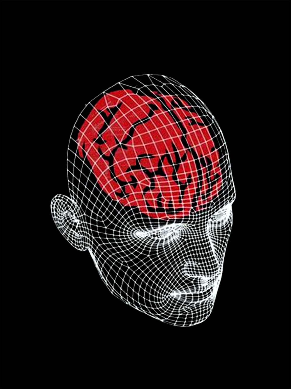 Wireframe Red Brain Washed Tshirt