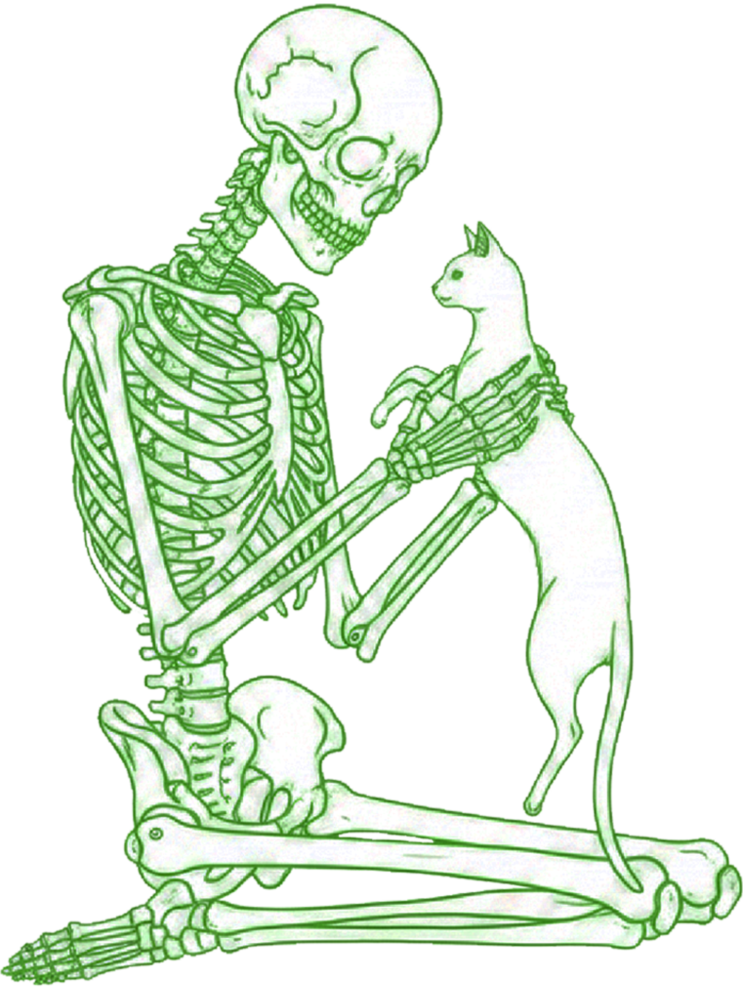 Phantom Companion Washed Tshirt