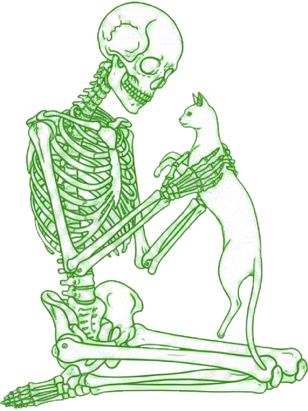 Phantom Companion Washed Tshirt