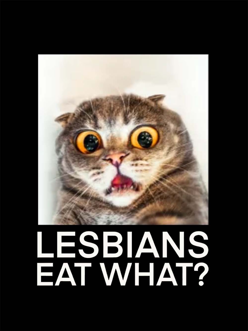 LESBIANS EAT WHAT? WASHED TSHIRT
