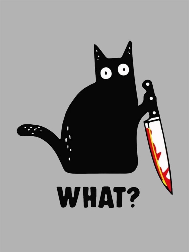 BLACK CAT CONFUSION WASHED TSHIRT