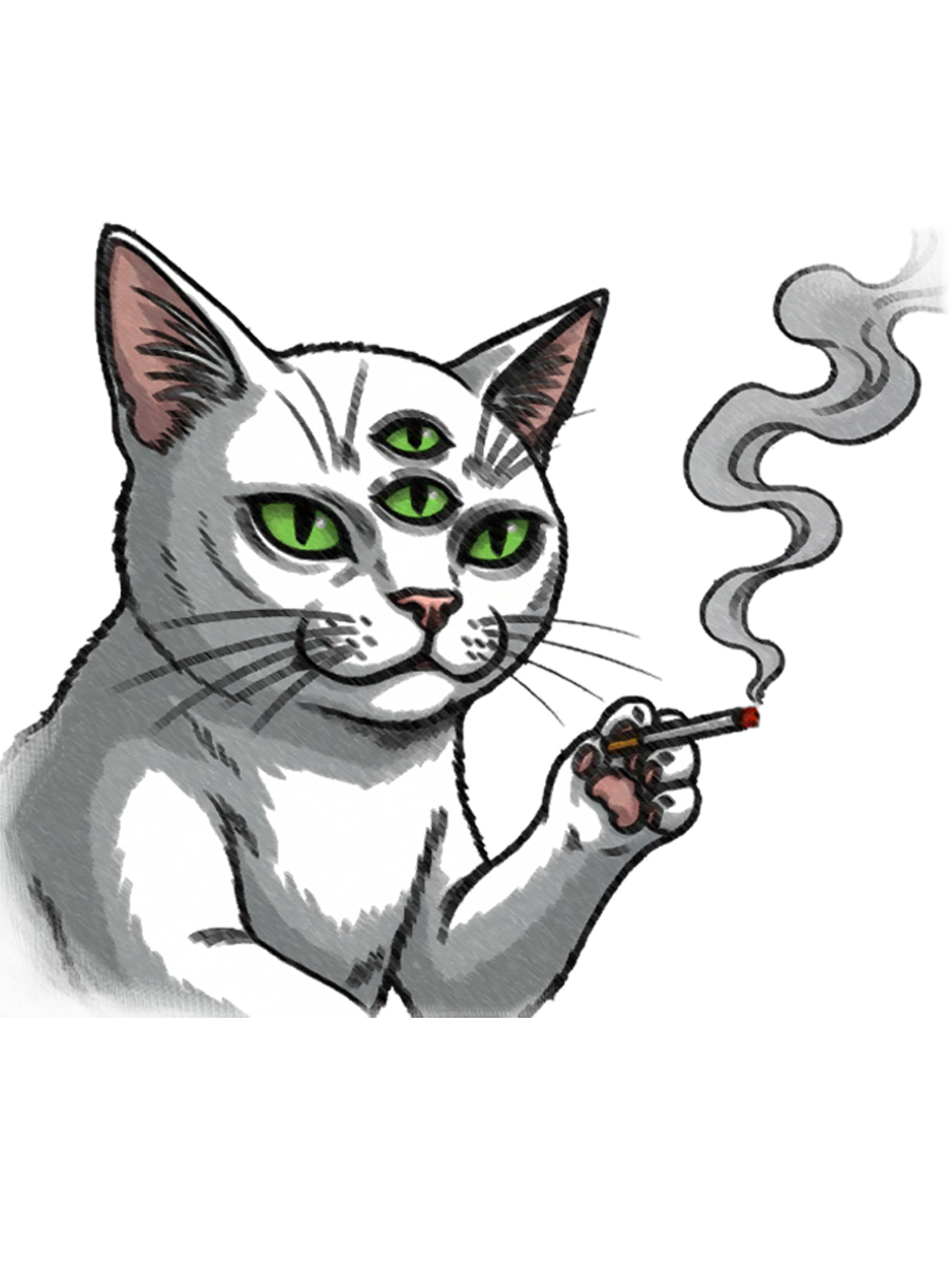 The Unruly Smoking Cat Washed Tshirt