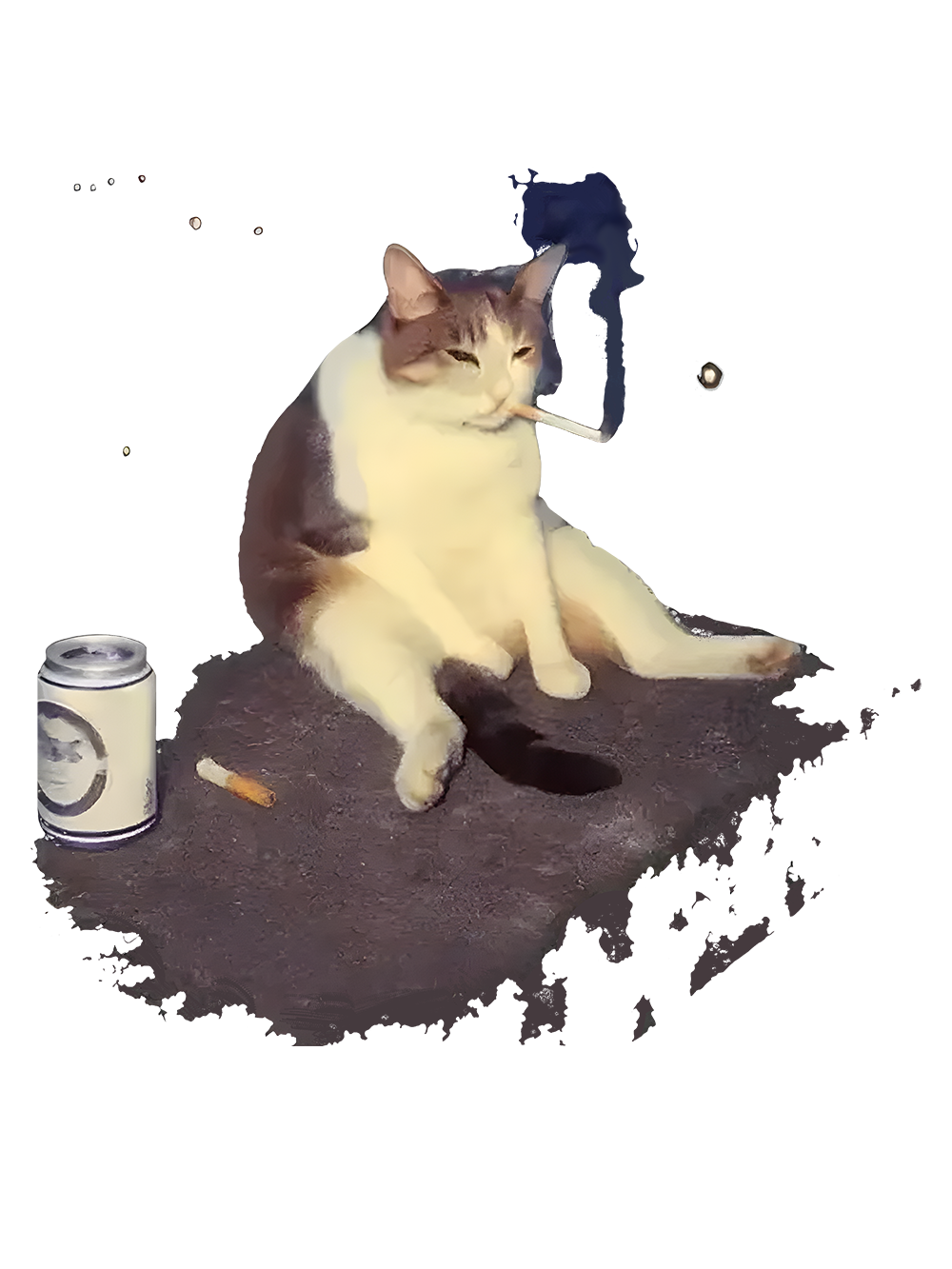 CHILL CAT VIBES WASHED TANK TOP