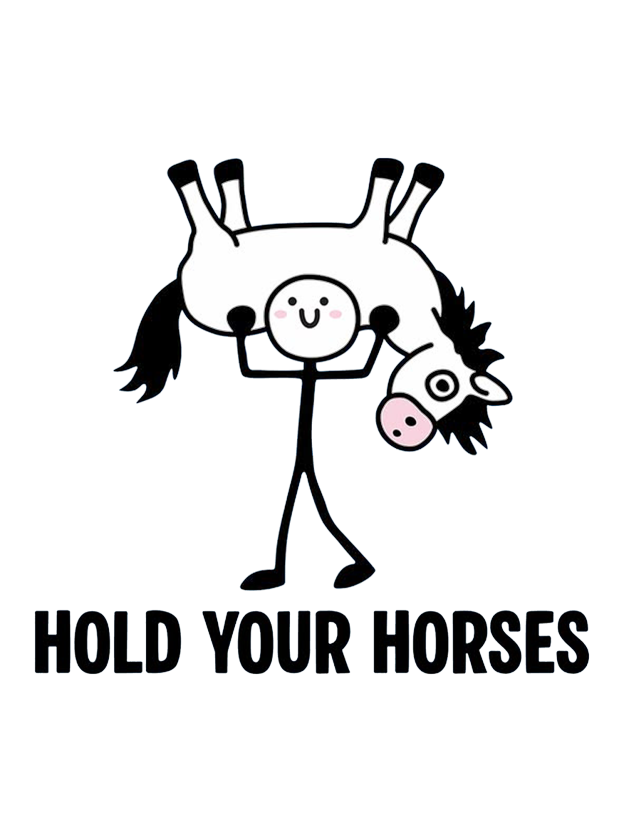 HOLD YOUR HORSES Washed Tshirt