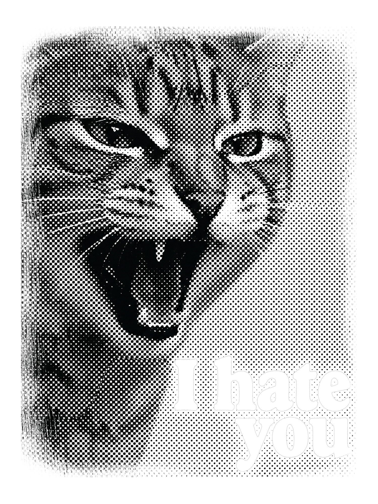 I HATE YOU WASHED TSHIRT
