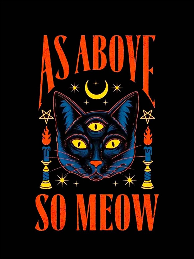 AS ABOVE SO MEOW WASHED TSHIRT