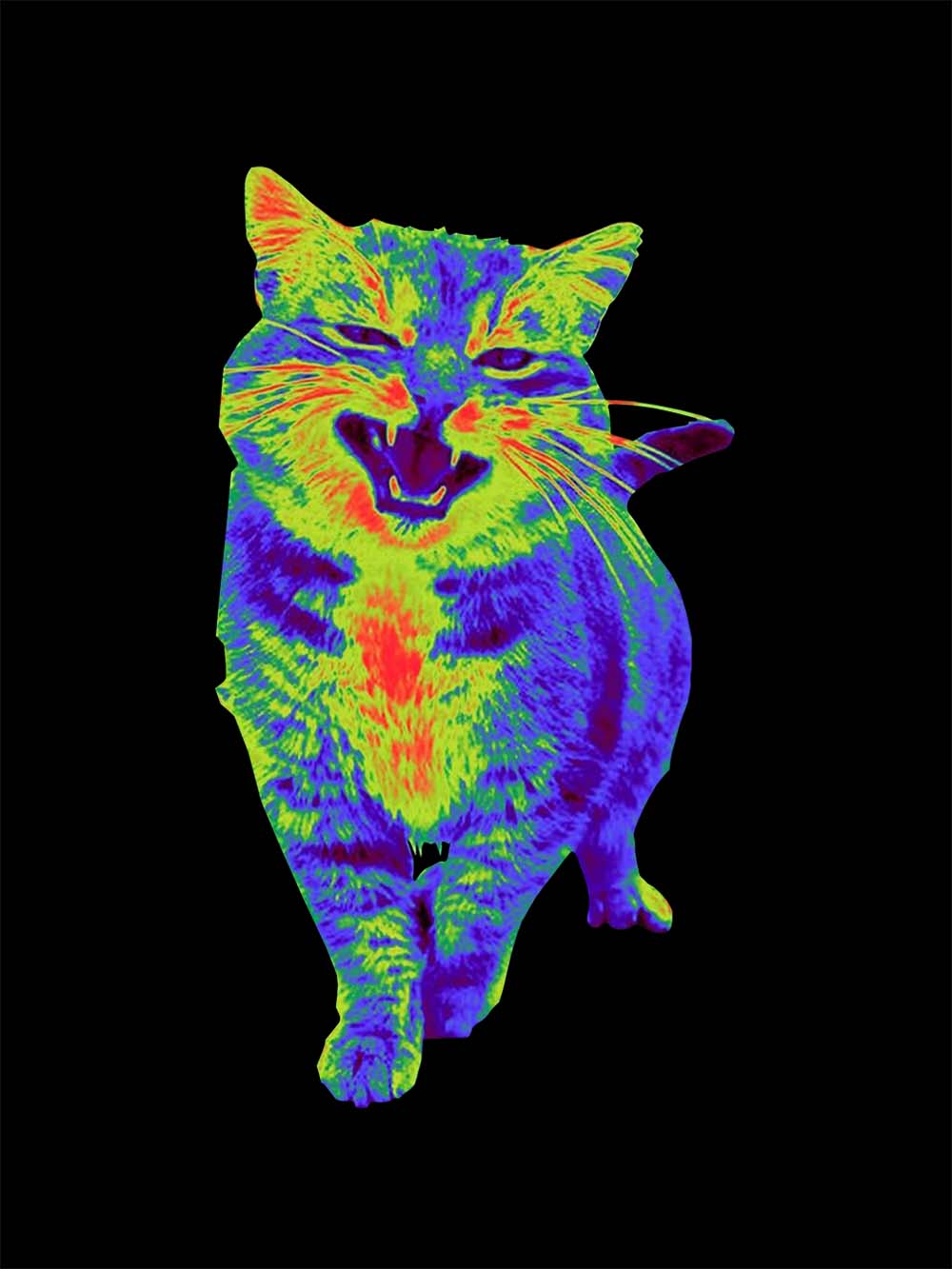 Psychedelic Roaring Cat Washed Tshirt