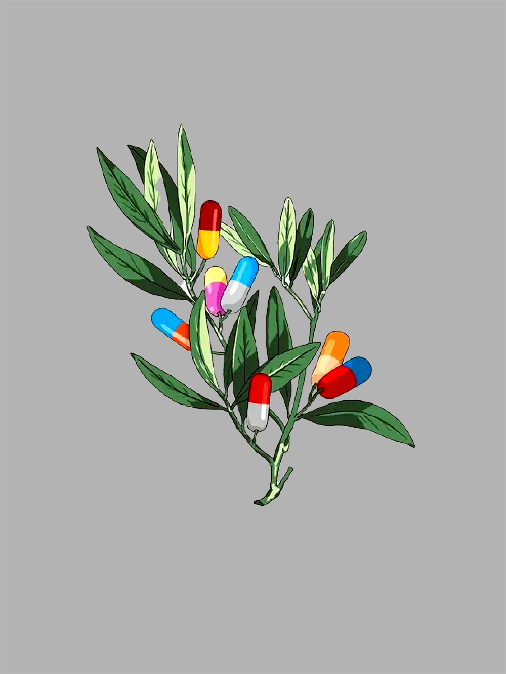 Capsule Bloom Branch Washed Tshirt