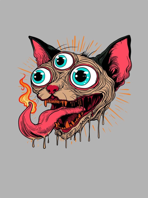 Flaming Three-Eyed Cat Washed Tshirt
