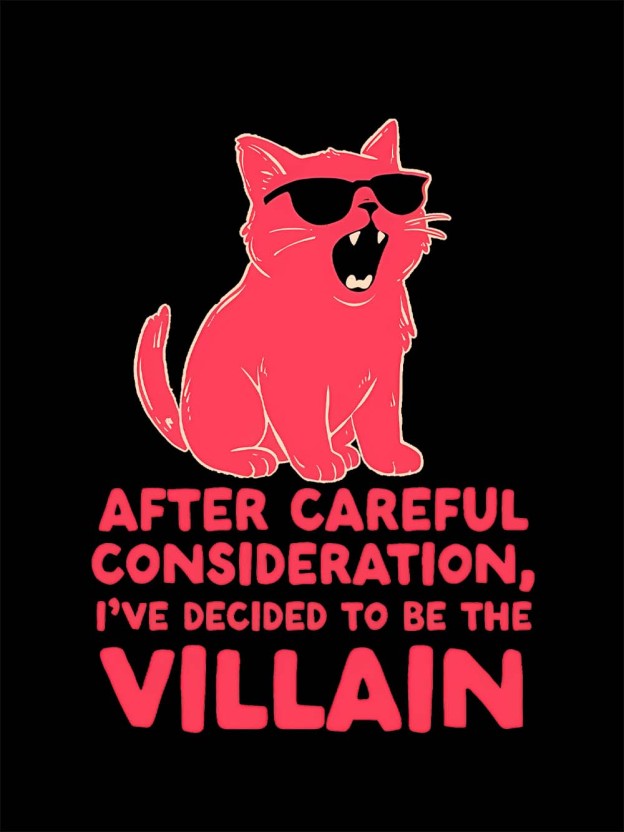 Decided to Be the Villain Washed Tshirt