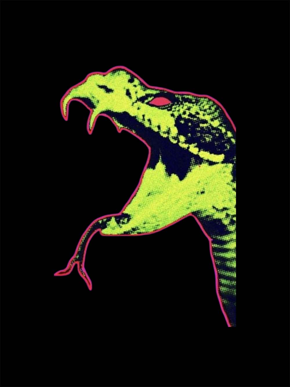 Neon Snake Head Washed Tshirt