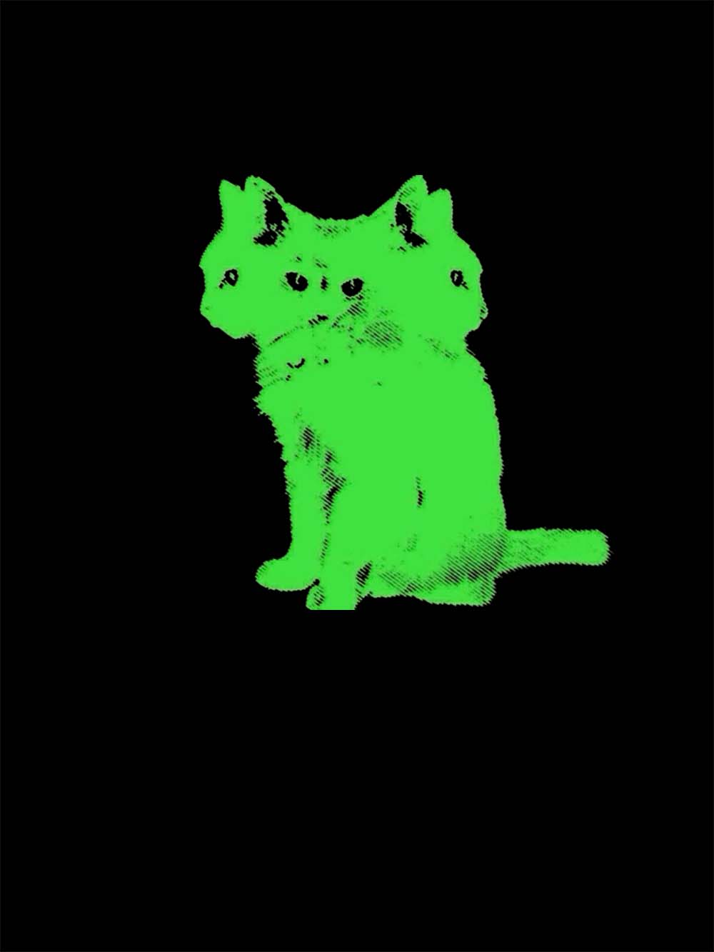 Three Headed Cat Washed Tshirt