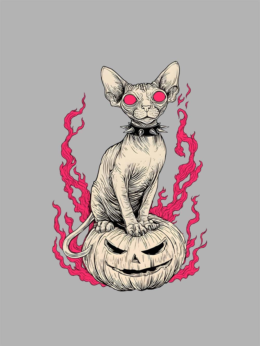Hairless Cat Pumpkin Flame Washed Tshirt