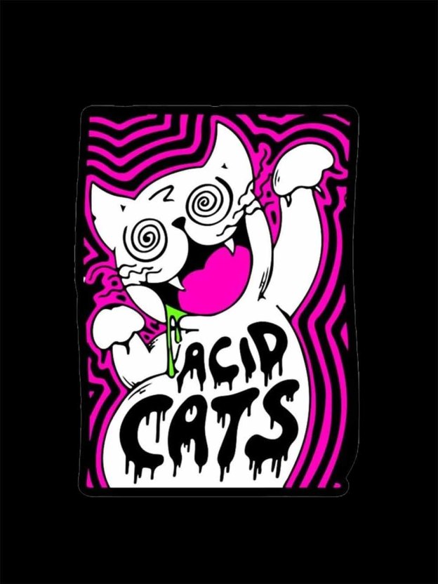 ACID CATS WASHED TSHIRT