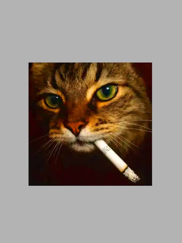 Smoking Cat Washed Tshirt