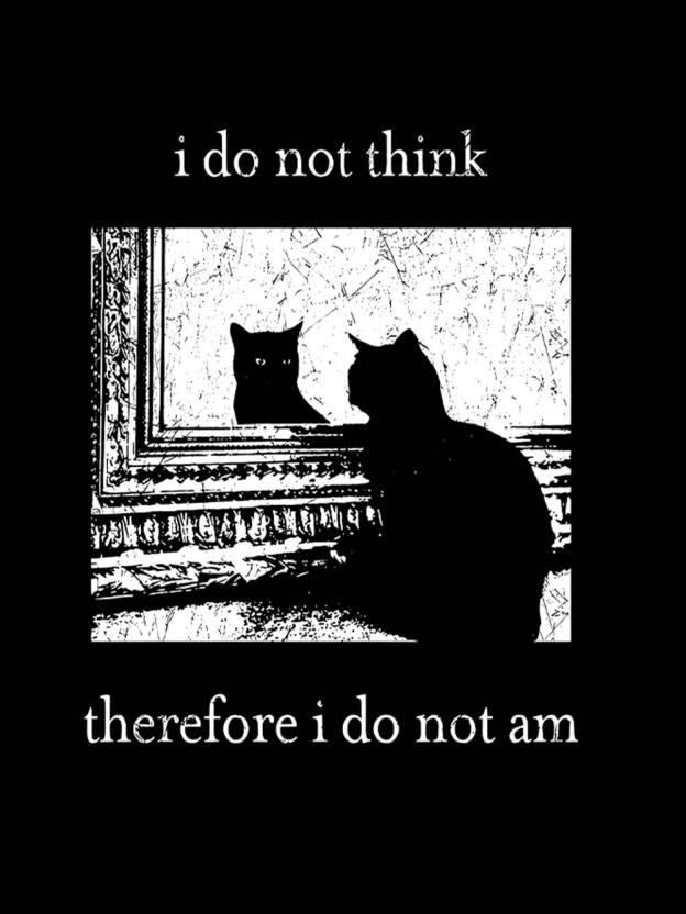 I Do Not Think Therefore I Do Not Am Washed Tank Top